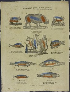 Hier vindt ge een negental van dieren , groot en klein. die uitgezondert èèn door 't menschdom nuttig zyn-Catchpenny print-Borms 0410