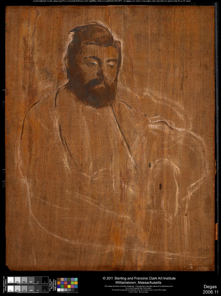 Hilaire-Germain-Edgar Degas - Portrait of a Man (Diego Martelli) - 2006.11 - Clark Art Institute