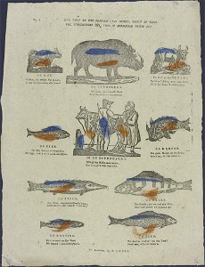 Hier vindt ge een negental van dieren , groot en klein. die uitgezondert èèn door 't menschdom nuttig zyn-Catchpenny print-SMC K 0019