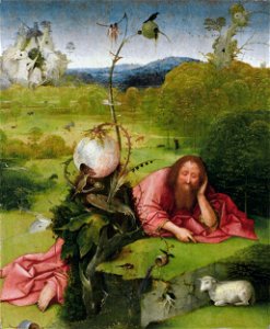Hieronymus Bosch 090FXD