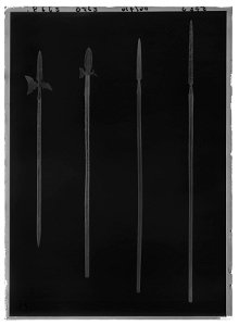 Hillebard - Livrustkammaren - 17654-negative