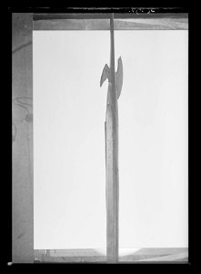 Hillebard - Livrustkammaren - 78232
