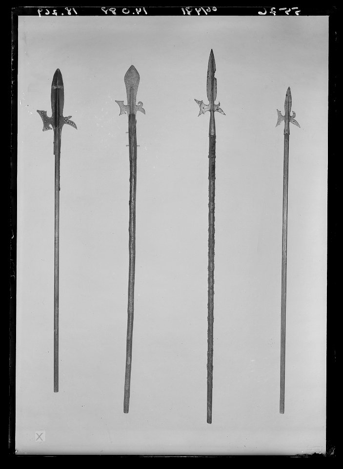 Hillebard, 1500-tal - Livrustkammaren - 43335