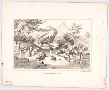 Hindoo custumes (sic), Mauritius - P.S. Duval & Co. steam Lith. press, Phil. LCCN2014649020