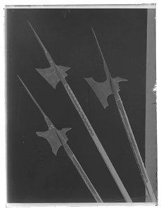 Hillebard, 1500-talets första hälft - Livrustkammaren - 79511-negative