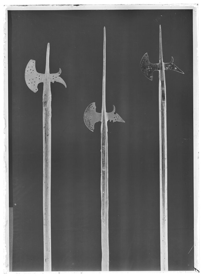 Hillebard Sverige - Livrustkammaren - 60312-negative