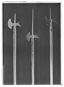 Hillebard Sverige - Livrustkammaren - 60312-negative