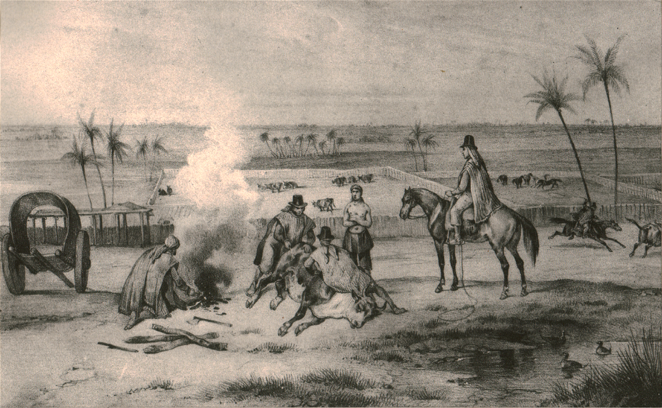 Hierra en Rincón de Luna - Corrientes, según D'Orbigny