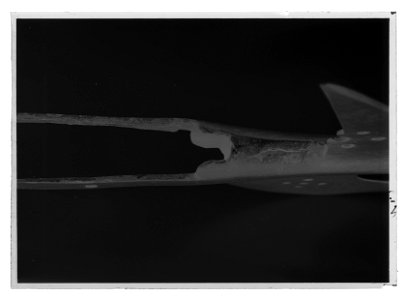 Hillebard Sverige - Livrustkammaren - 78158-negative