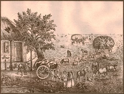 Hierra en una estancia - Buenos Aires, anónimo