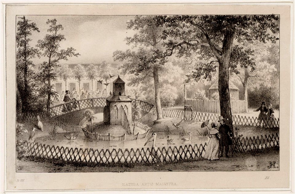 Hilverdink, Johannes J. A. (1813-1902), Afb 010097004162