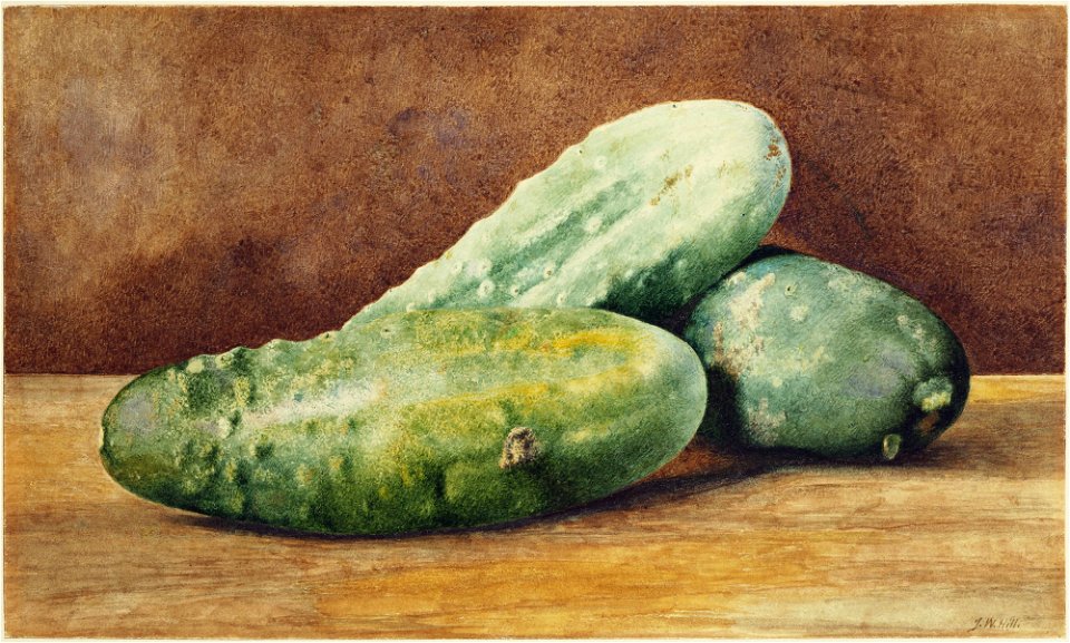 Hill, John William, Cucumbers, ca. 1860