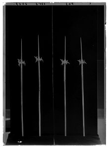 Hillebard - Livrustkammaren - 69013-negative