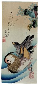 Hiroshige (1838) Two mandarin ducks. Free illustration for personal and commercial use.
