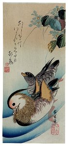 Hiroshige (1838) Two mandarin ducks
