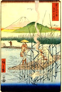 Hiroshige, The Sagami river