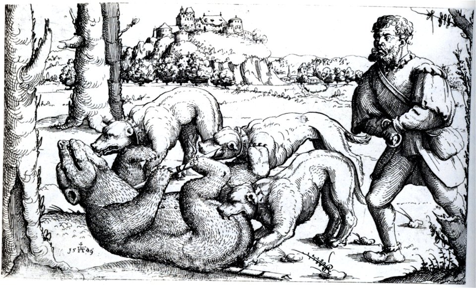 Hirschvogel Bear Hunt