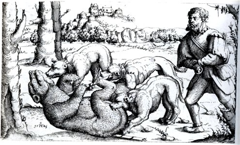 Hirschvogel Bear Hunt