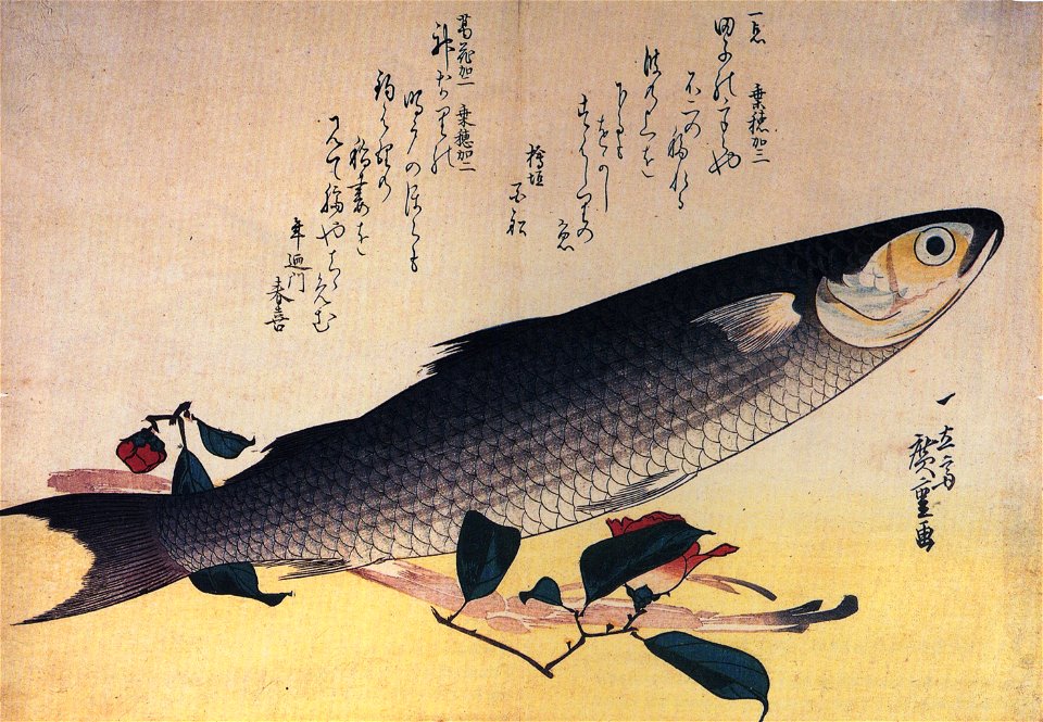 Hiroshige Grey mullet and camellia
