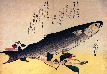 Hiroshige Grey mullet and camellia