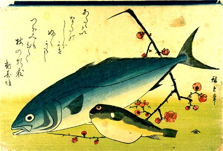 Hiroshige A Shoal of Fishes Fugu Yellowtail