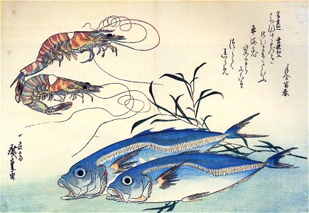 Hiroshige Horse-mackerel and prawns