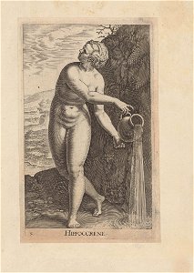 Hippoccrene Fait partie du recueil Nimpharum oceanitidum, ephydridum potamidum, naiadum, lynadumque icones - Pl. 5 1587 print by Philip Galle, S.V 88393, Prints Department, Royal Library of Belgium
