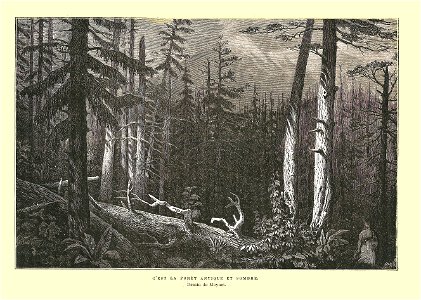 Histoire de la Nouvelle France0069