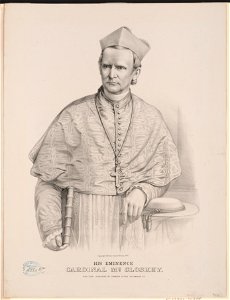 His eminence Cardinal McCloskey LCCN90710660
