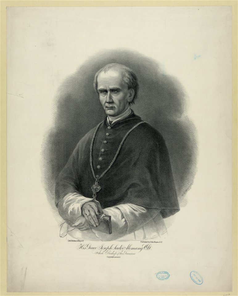 His grace Joseph Sadoc Alemany, CSD - Arch Bishop of San Francisco - H. Steinegger ; lith. Britton & Rey, S.F. LCCN2012645529