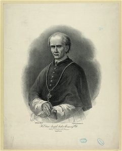 His grace Joseph Sadoc Alemany, CSD - Arch Bishop of San Francisco - H. Steinegger ; lith. Britton & Rey, S.F. LCCN2012645529