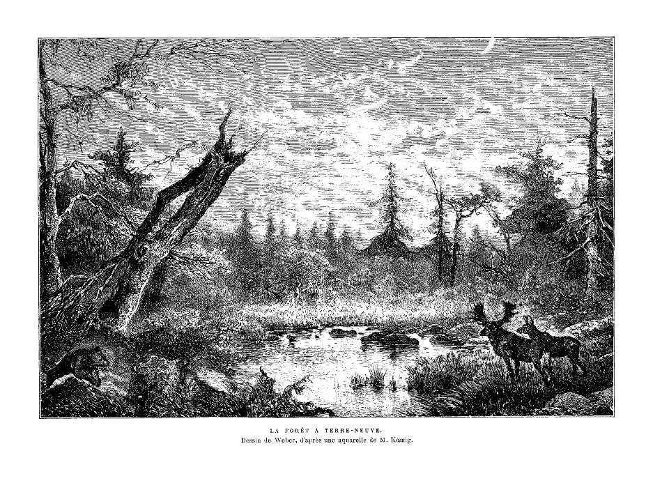 Histoire de la Nouvelle France0047NB