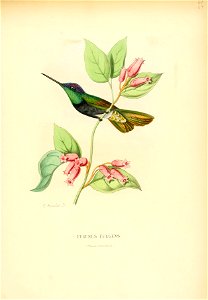 Histoirenaturel04muls 0359