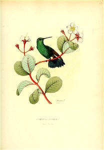 Histoirenaturel04muls 0105