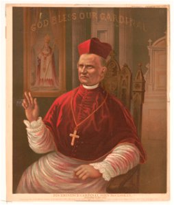 His Eminence Cardinal John McCloskey LCCN2003688610