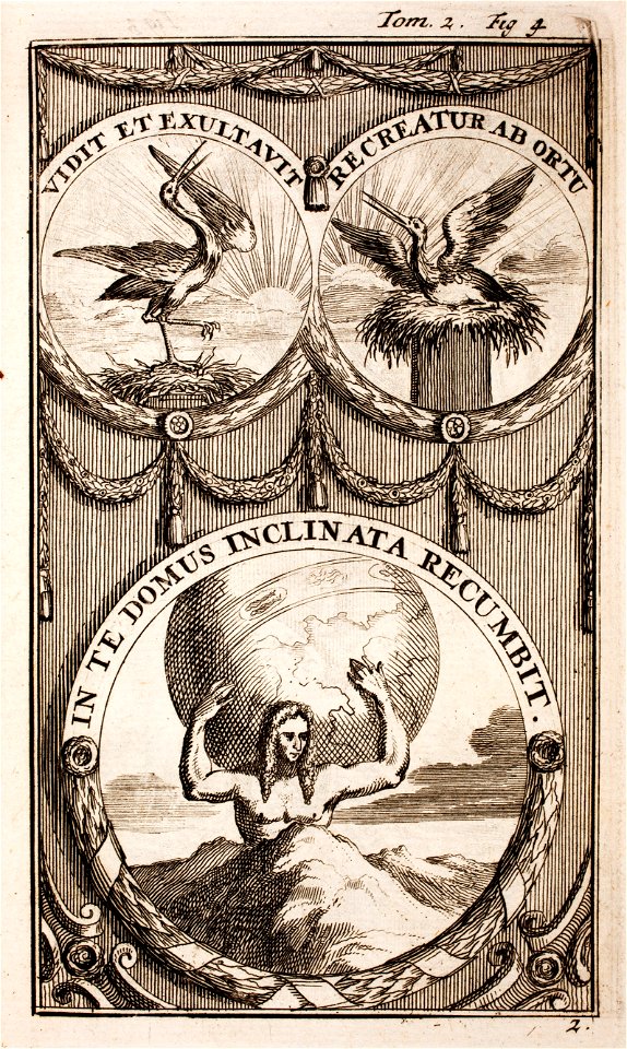 Histoire-de-Guillaume-III-MG 0060
