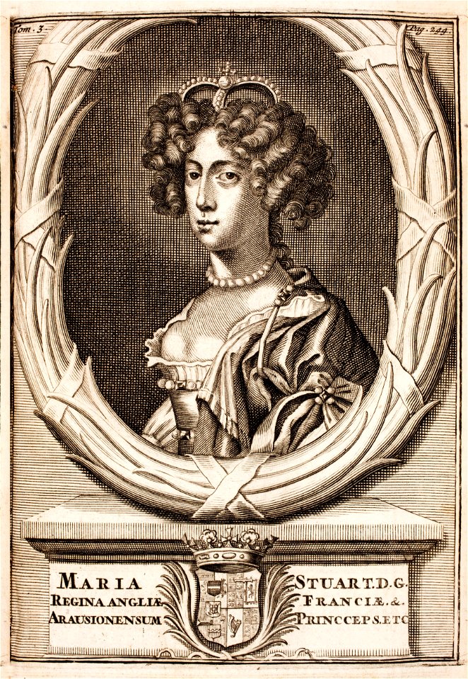 Histoire-de-Guillaume-III-MG 0122