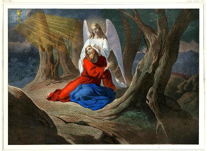 Histoire Sainte (BM 1981,U.56-134 35)