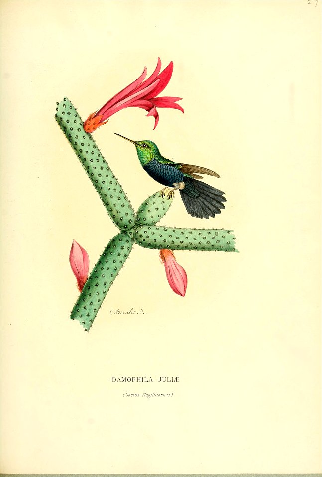 Histoirenaturell21876muls 0279