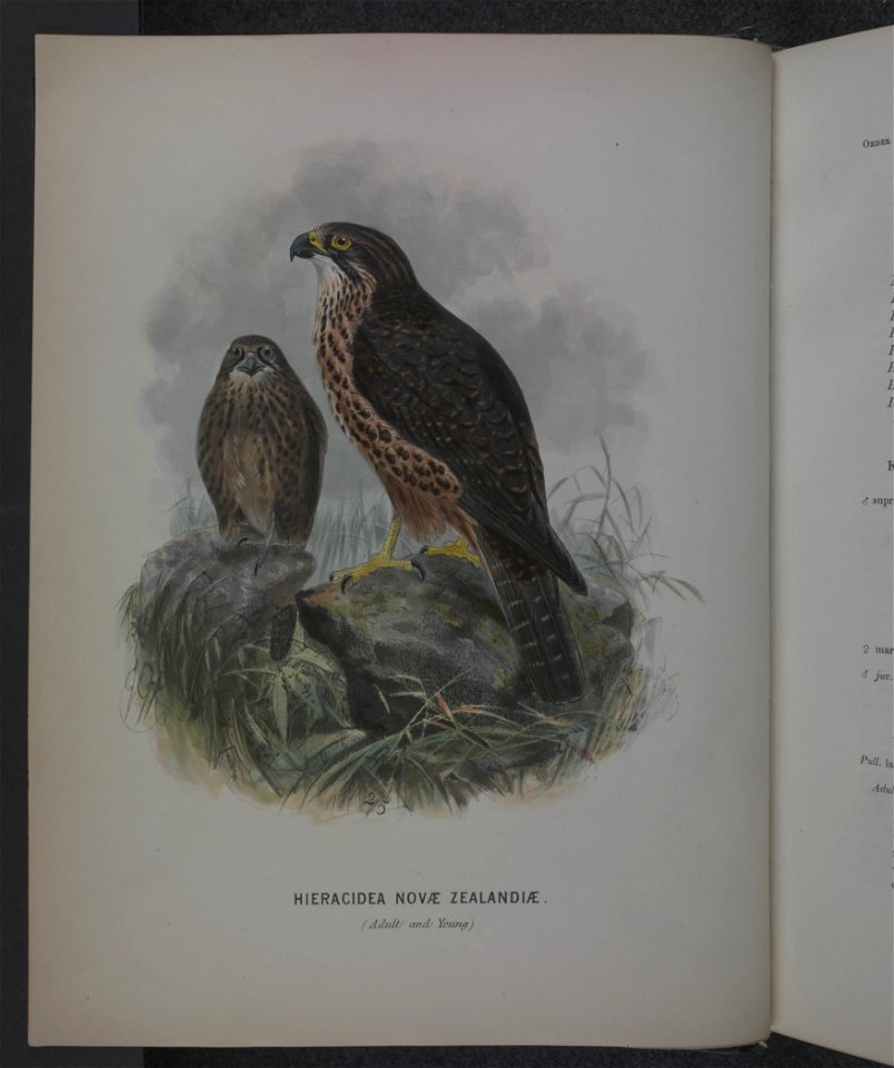 History of the birds of NZ 1st ed p000-2