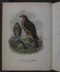History of the birds of NZ 1st ed p000-2