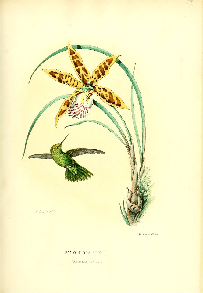Histoirenaturel04muls 0103