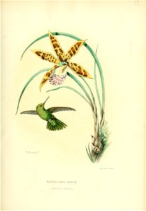 Histoirenaturel04muls 0103