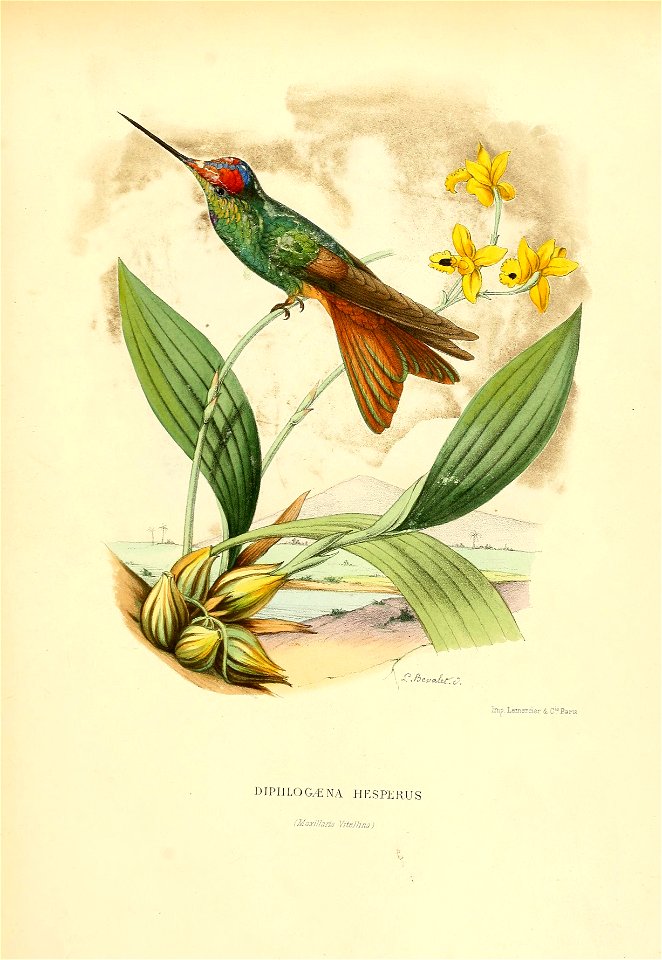Histoirenaturell11874muls 0409