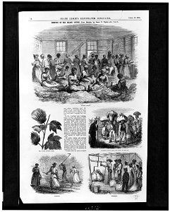 History of Sea Island cotton - from sketches by James E. Taylor. LCCN96513203