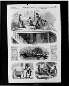 History of Sea Island cotton - from sketches by James E. Taylor. LCCN96513205