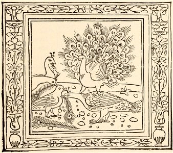 History of Wood Engraving 0077