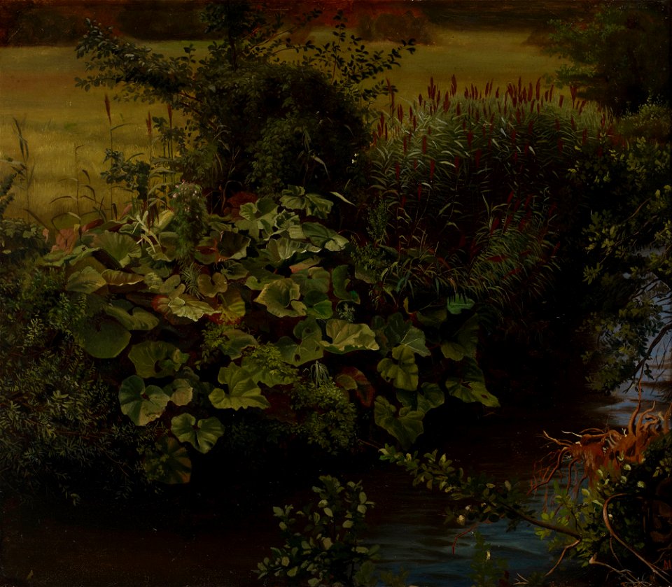 Hjalmar Munsterhjelm - Brook, copy after Johann Wilhelm Schirmer - A II 1128 - Finnish National Gallery