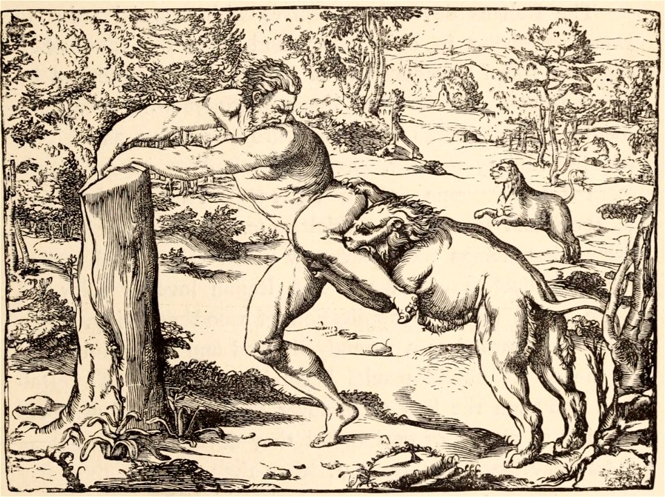 History of Wood Engraving 0147