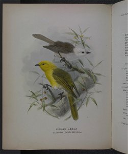 History of the birds of NZ 1st ed p102-2
